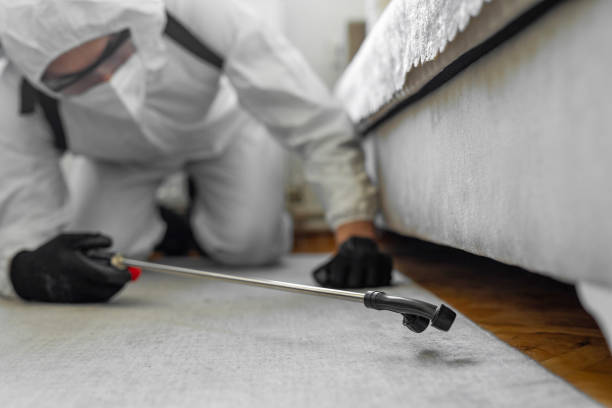 Professional Cockroach Control technician working in La Presa, CA