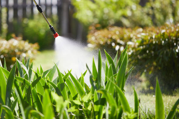24/7 Emergency Cockroach Control experts in La Presa, CA