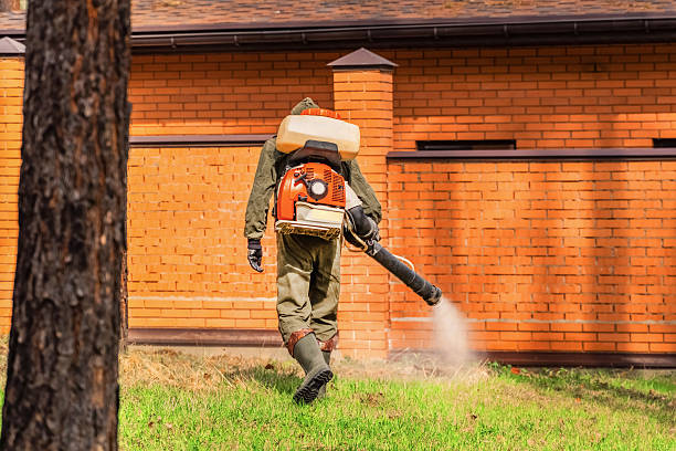 Trusted Termite Control service in La Presa, CA - Nex Pest Control